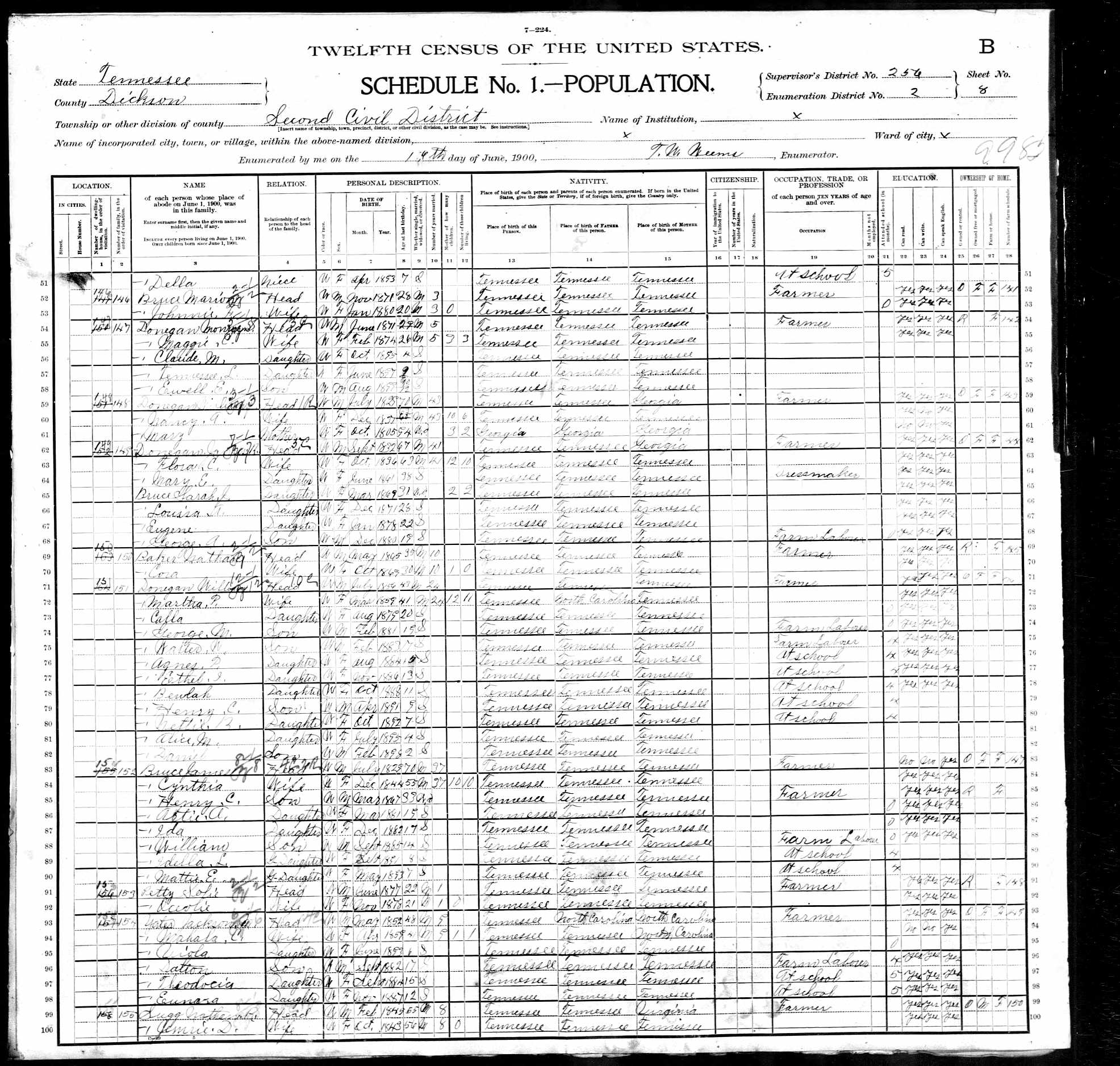 Mary (Brazzell) Donegan, 1900 Dickson County, Tennessee, census; in the home of her son, William J. Donegan.