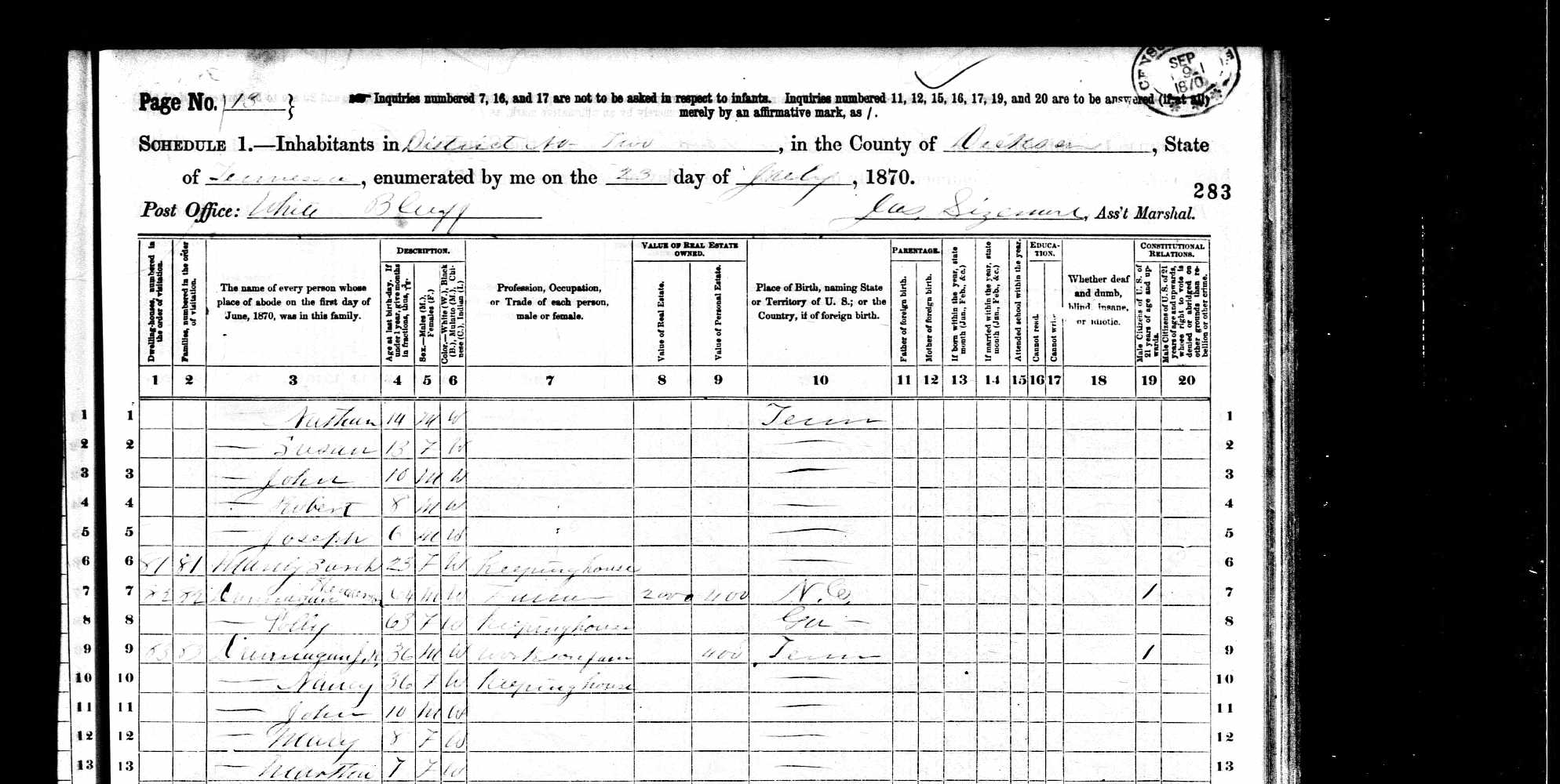 James Henderson and Mary 'Polly' (Walker) Dunnagan, 1870 Dickson County, Tennessee, census