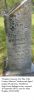 Mary E. (Hartley) Hopkins, cemetery stone, Hopkins Cemetery, Fair Play, Polk County, Missouri